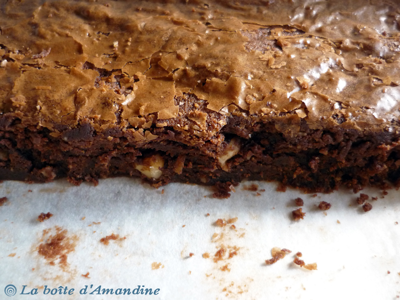 photo de Brownie