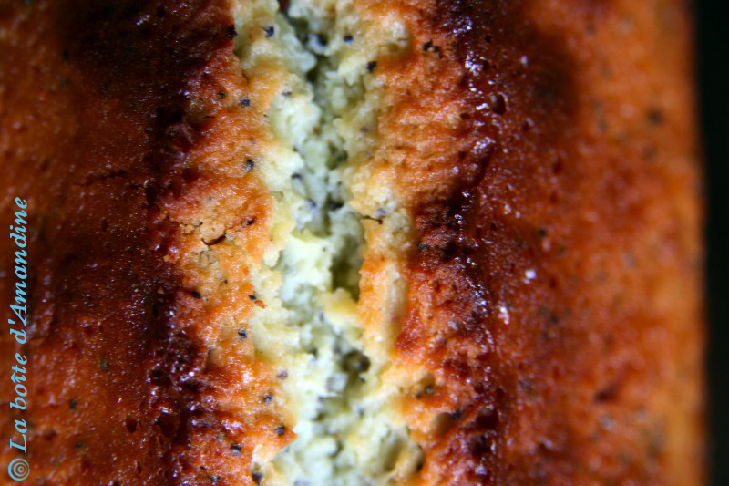 photo de Cake citron pavot