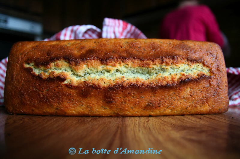 photo de Cake citron pavot