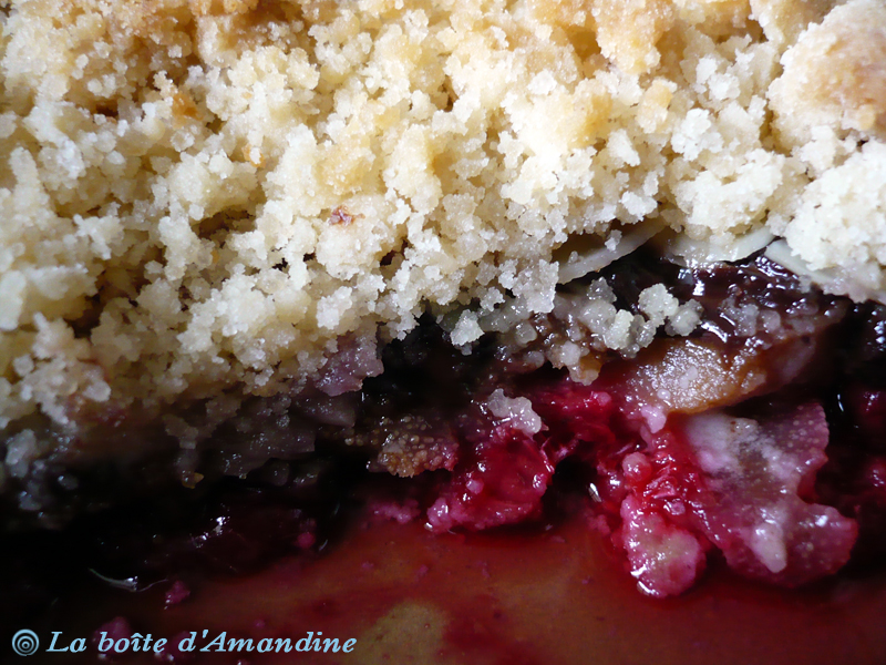 photo de Crumble poires framboises chocolat