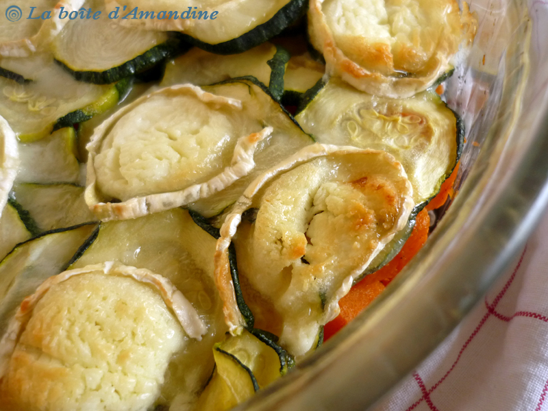 photo de Gratin courge courgette