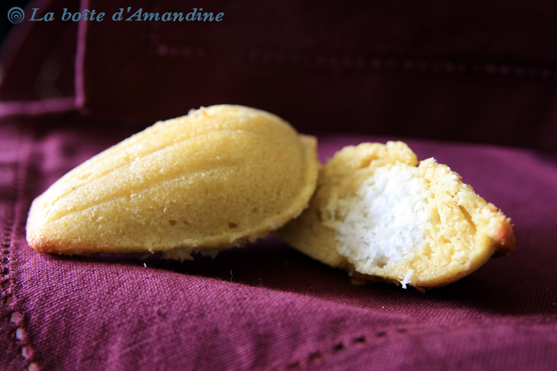 photo de Madeleines coeur coco