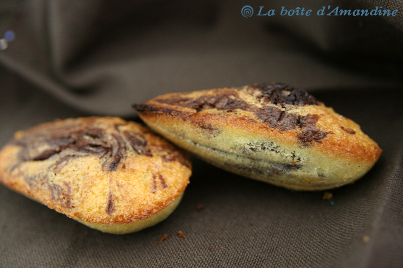 photo de Madeleines marbrées chocolat banane