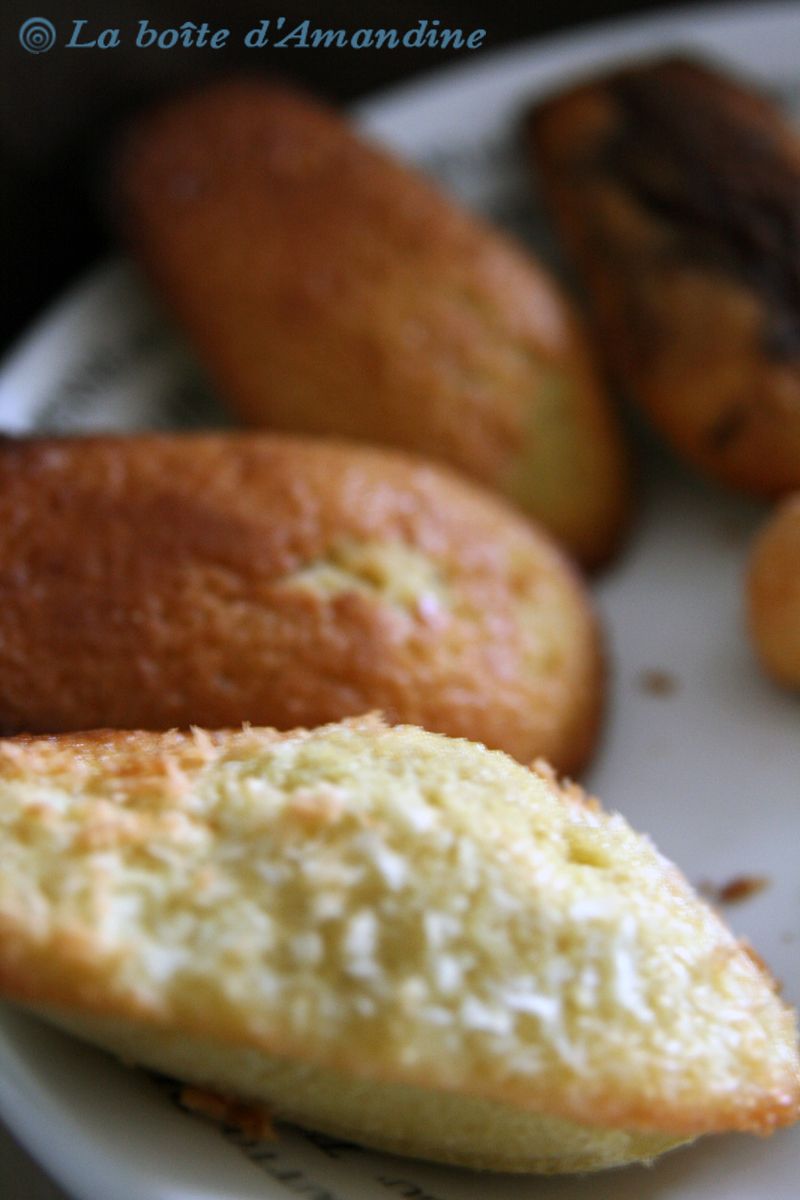 photo de Madeleines natures