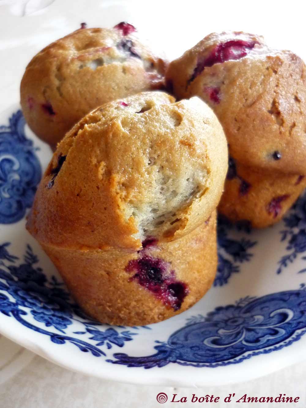 photo de Muffins à la myrtille